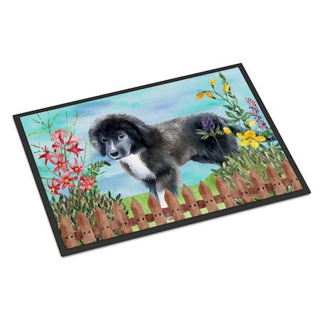 Carolines Treasures Newfoundland Puppy Spring Indoor or Outdoor Mat - 18 x 27 in. CK1261MAT